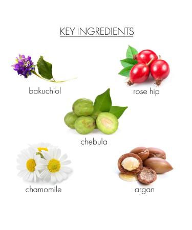 Whish Recovering Night Cream - Intense Moisturization & Natural Retinol Replacement | Reduce Wrinkles with Bakuchiol - 1 fl oz | International Shipping Available - Buy Online on GoSupps.com