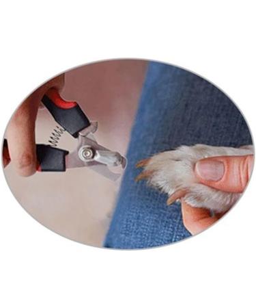 Nail Clippers Pet Nail Clipper Dog Nailclippers Dog Cat Puppy Pet Professional Nail Clipper Animal Nail Scissor - Buy Online on GoSupps.com