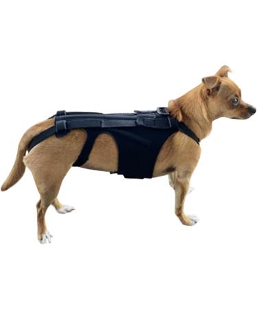 Back Brace for Dogs | Breathable Pet Back Bracer for IVDD | Back Support Rehabilitation Easy to Wear and Off  - Buy Online on GoSupps.com