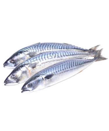 Mackerel 2 kg -/+10%