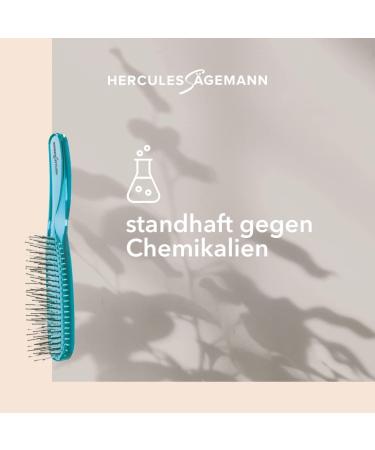 HERCULES S GEMANN 8210 Deluxe Magic Brush | Detangling Hairbrush for Men & Women | No Pull 8 Rows Turquoise - Buy Online on GoSupps.com