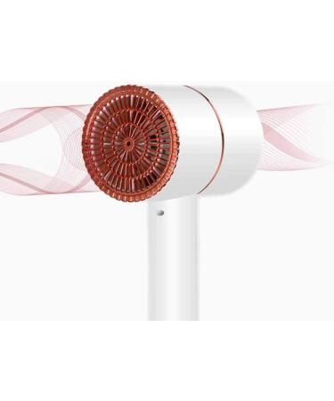 1600W Travel Hair Dryer Portable Hairdryer Professional Hair Dryer Hot and Cold Blow Dryer Nozzles 2 Heat Settings DC Motor Fast Drying Time and Low Noise Suitable for Family Travel Pink small - Buy Online on GoSupps.com