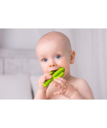 Giligums 58343 Cactus Teether Ring for Babies | 100% Food-Grade Silicone | BPA Free Baby Toothbrush & Dental Aid | Soft Teething Relief for 3 Months+ - Buy Online on GoSupps.com