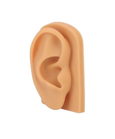 Soft Silicone Right Ear Model Soft Flexible Waterproof Hearing Aid Display Accessories for Science Education