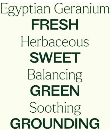 Plant Therapy Organic Egyptian Geranium Essential Oil 100% Pure USDA Certified Organic Undiluted Natural Aromatherapy Therapeutic Grade 5 mL (1/6 oz) Geranium 0.16 Fl Oz (Pack of 1) - Buy Online on GoSupps.com