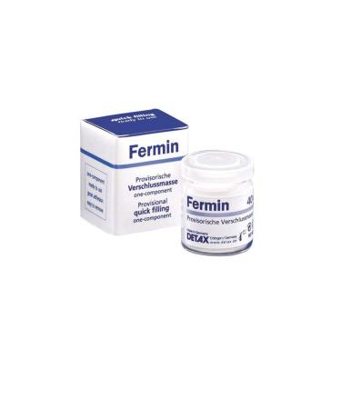 Fermin Temporary Sealant Paste Emergency Kit DIY Dental Cement 40g Glass