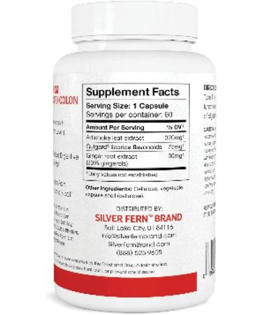 GI Relief Herbal Supplement - Reduce Gastrointestinal Discomfort, Acid Indigestion & Heartburn - 60 Capsules (1 Bottle) - Buy Online on GoSupps.com