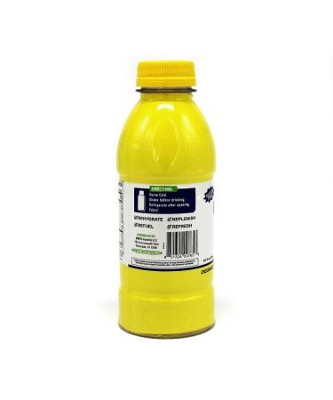 Performance Inspired Nutrition Ready 2Go Protein - Gluten Free - 16.9 fl oz - Protein Water - 6 count case - Blueberry Lemonade - Buy Online on GoSupps.com