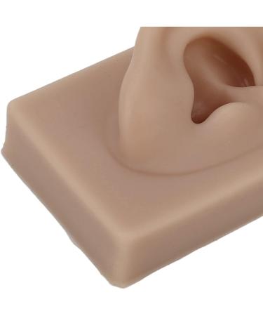 Simulated Right Ear Model for Ear Piercing Training | Realistic Soft Human Ear for Headphone Display (Brown) - International Shipping Available - Buy Online on GoSupps.com