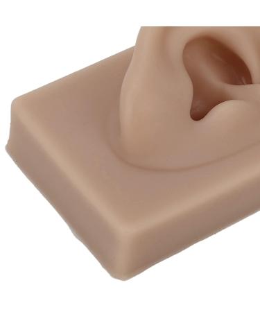 Silicone Right Ear Model for Piercing Training and Display (Brown) - Reusable & Flexible - Buy Online on GoSupps.com