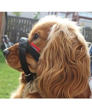 Champion Anti-Pull Training Halter for Dogs - Padded Black - Improve Control & Comfort - International Shipping Available - Buy Online on GoSupps.com