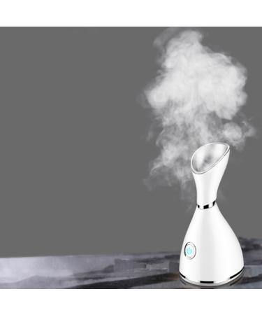 DOITOOL Hydrating Cleansing Beauty Nano with Steaming Plug Household Humidification Sprayer Spray White - Buy Online on GoSupps.com