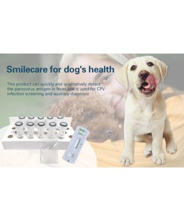 Yanzeo 10 Tests Canine Parvovirus Test Kit - CPV Rapid Home Test for Dogs | Veterinary Clinics | 10-Pack - Buy Online on GoSupps.com