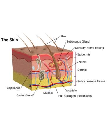 6% Sulfur Medicated Skin Cleansing Soap Bar - 4oz | Effective Acne Treatment & Skin Care | International Shipping Available - Buy Online on GoSupps.com