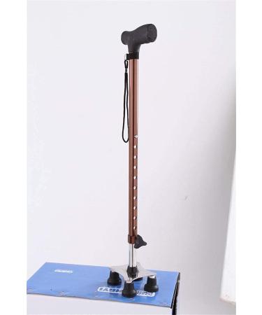 Walking Stick with Crutches Poles -with Small 4 Leg Base- Easy and Smart Adjustable Walking Stick- Lightweight Aluminum Walking Stick Made of Stainless Steel Vision - Buy Online on GoSupps.com