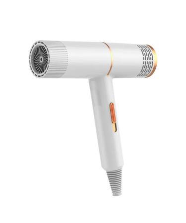 WSZFMDDKJ Negative Ion Hair Dryer High Power Salon Light Hair Dryer Men S and Women S Blue Light Hair Dryer Rapid Hair Dryer With Concentrated Nozzles (Beige EU) EU Beige
