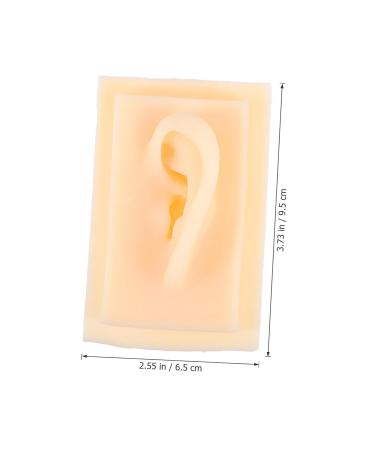 NOLITOY Teaching Ear Model - 3 Pairs Auricular Point Simulator & Hearing-Aid Display Props for Effective Learning - Buy Online on GoSupps.com