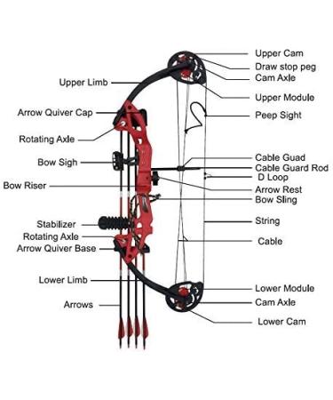 PANDARUS Compound Bow Archery Set for Youth and Beginners - 19-28 Draw Length, 15-29 lbs Draw Weight, 260 fps - Right Handed - Includes Hunting Equipment - Buy Online on GoSupps.com