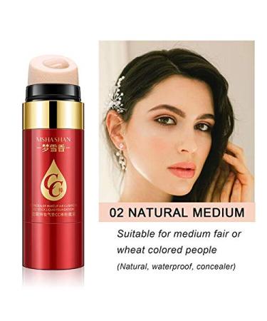 Mushroom Air Cushion BB Stick Foundation | Waterproof Matte Concealer | Long-Lasting Natural Makeup for Oily Skin (02A Natural Medium) - Buy Online on GoSupps.com