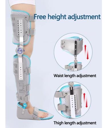 FoRes Universal Hip Joint Brace - Hip Fixation Support for Thigh & Sciatica Relief | Post-op Stabilizer for Men & Women | Ideal for Groin Fractures & Pulled Thigh Strains (LEFT - Buy Online on GoSupps.com