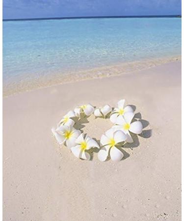 Hawaiian Flower Hair Clip Beach Flower Hair Clip 10 Piece 2.7'' Hawaii Flower Hair Clip Bride Wedding Party Holiday Vacation Women Plumeria Hairpin Hair Accessory (White) - Buy Online on GoSupps.com