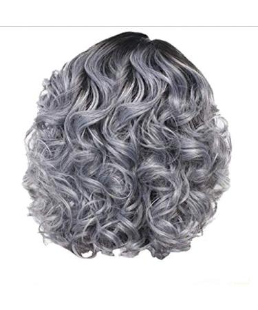 BigBigMe Short Curly Hair Wigs Grey Hair Lace Wigs Gray Wavy Wigs for Women  Hair Replacement Wigs European and American Women's Styling Cool Wig Natural Looking