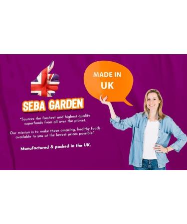 Seba Garden Peanut Butter Powder 1kg Defatted Healthy Plant Based Vegan Protein Non-GMO Certified Gluten Free and Vegan Keto Friendly Low Carb and Bpa-free 1 kg (Pack of 1) - Buy Online on GoSupps.com