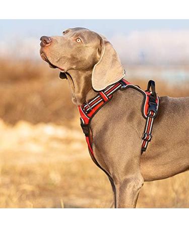 Truelove No Pull Dog Harness - Reflective Adjustable Soft Padded Vest with Handle | TLH56512 - Fuchsia - Buy Online on GoSupps.com