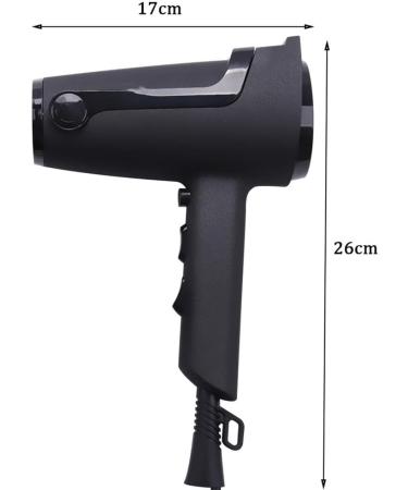 Professional Ionic Hair Dryer 2000W Powerful Hairdryers with 2 Nozzles Blow Dryer Fast Dry 2 Speed 3 Heat Cool Shot Setting Long Cable Low Noise AC Motor Fast Drying Time and Frizz Free Shine small - Buy Online on GoSupps.com