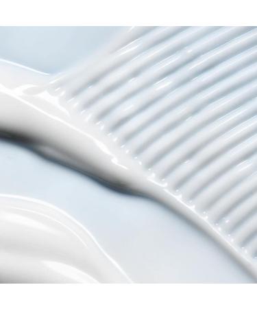 e.l.f. Holy Hydration! Hydro-Gel Moisturizer - Lightweight & Fast-Absorbing, 2.53 Oz - Buy Online on GoSupps.com