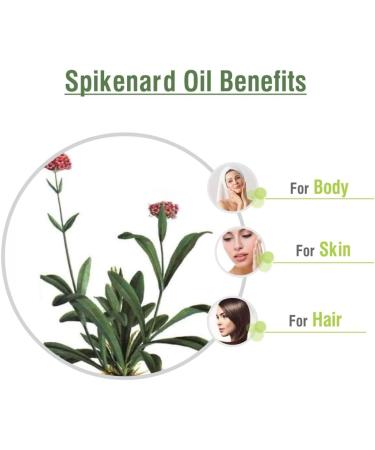 Crysalis Oil - 1.01 Fl Oz (30ml) (1.014 Fl Oz Spikenard) Spikenard 1.01 Fl Oz (Pack of 1) - Buy Online on GoSupps.com