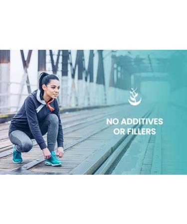 PURE ORIGINAL INGREDIENTS Ginkgo Biloba (365 Capsules) No Magnesium Or Rice Fillers Always Pure Lab Verified 365 Count (Pack of 1) - Buy Online on GoSupps.com