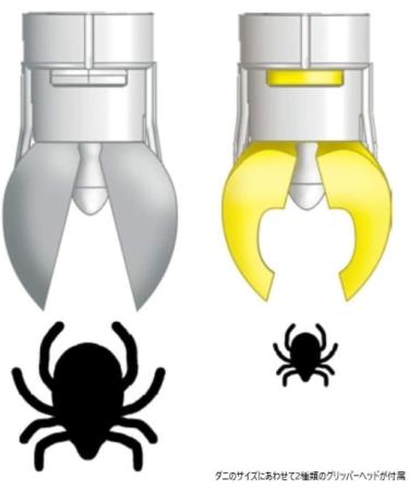 tickSAFE Tick Remover - Human | Safe and Effective Tick Removal Tool - Buy Online on GoSupps.com