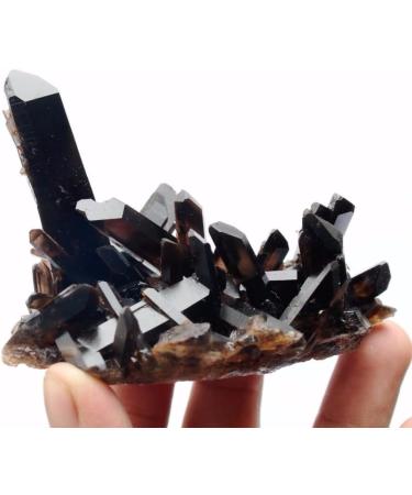 Crystal Rough 150g Beautiful Natural Clear Black Quartz Specimen - Buy Online on GoSupps.com