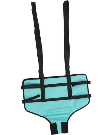 Patient Belts & Standing Aids | 4-Point Support Dirt-Repellent Toilet Solutions for Manual Lifting - Buy Online on GoSupps.com