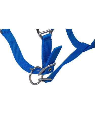 Buy RL24 Halter with Plush Padding | BASICLINE - 6 Colors for Shetland Pony Thoroughbred & Warmblood - Royal Blue - Buy Online on GoSupps.com