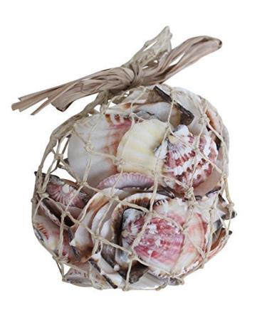 Quay Traders Mixed Sea Shells in Abaca Bag - 350 Grams (4044A)
