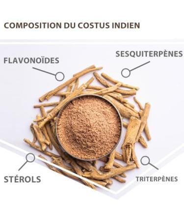  Herbes du Monde Herbes du Monde - Indian Costus 200g Powder 100% Pure and Natural Used in Many Traditional Medicines for its Benefits on Body and Mind. - Buy Online on GoSupps.com