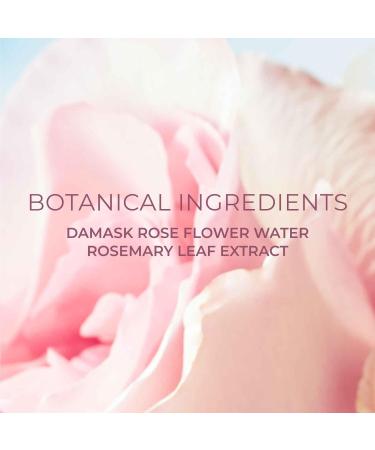 Rose Sleeping Mask Face Moisturizer | Hydrating Gel for Dry Skin | Korean Skin Care with Rose Water (1.76 oz - Buy Online on GoSupps.com