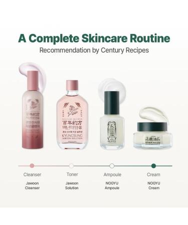 CENTURY RECIPES Kyungsung Jawoon Facial Cleanser 120 ml / 4.06 fl oz Mud-to-Foam Facial Cleanser with Natural Clay for Sensitive Skin - Buy Online on GoSupps.com