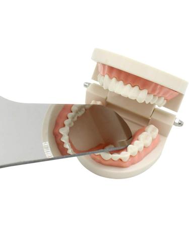 SUPVOX Stainless Steel Dental Mirror - Orthodontic Photography Reflector for Precision Care - Buy Online on GoSupps.com