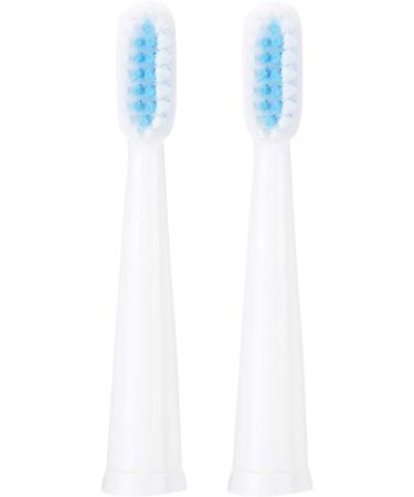 Electric Toothbrush for Adults - USB Rechargeable Smart Power Toothbrush with 5 Modes 2 Brush Heads & 2-Minute Timer - White - Buy Online on GoSupps.com