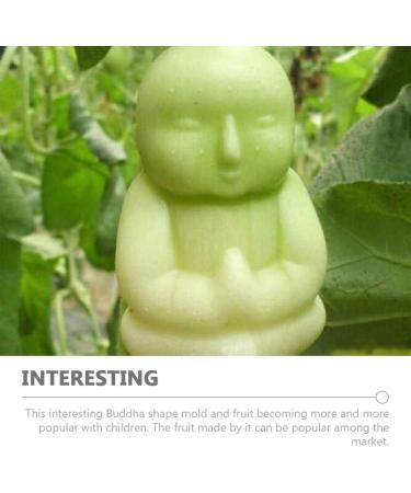 UPKOCH 6 Pcs Fruit Shaping Mold Buddha Shaped Vegetable Shaping Mold Ginseng Shaping Tools Growing Mould Growth FormingForming 6pcs - Buy Online on GoSupps.com