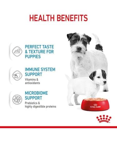Royal Canin Mini Starter Complete Wet Food for Mother & Babydog 12 x 195g - Buy Online on GoSupps.com