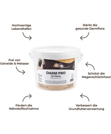 M Premium Intestinal Pro Horse Food Supplement For the Preservation of Healthy Gendarme Powder and More Well-being Active 1.5 kg - Buy Online on GoSupps.com