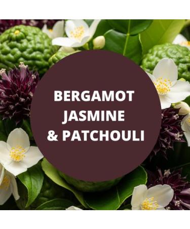 Black Canyon Bergamot Jasmine & Patchouli Scented Petroleum Jelly For Skin 16 Oz (2 Pack) - Buy Online on GoSupps.com