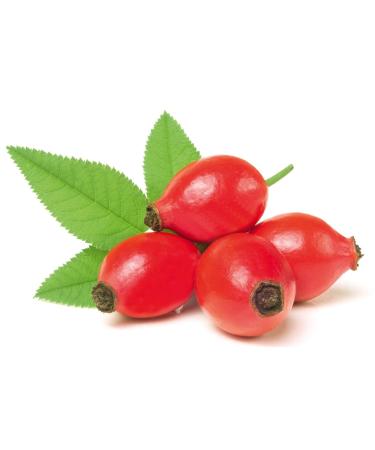 Organic Rosehip Powder 400g - 100% Pure Rosa Canina | Rich in Vitamin C for Smoothies Muesli & Drinks - European Wild Collection - Buy Online on GoSupps.com
