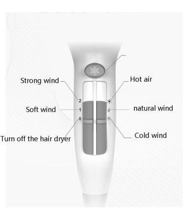 Hair Dryer 2200W Negative Ionic Fast Dry Low Noise Blow Dryer Professional Salon Hair Dryers with Diffuser  - Buy Online on GoSupps.com