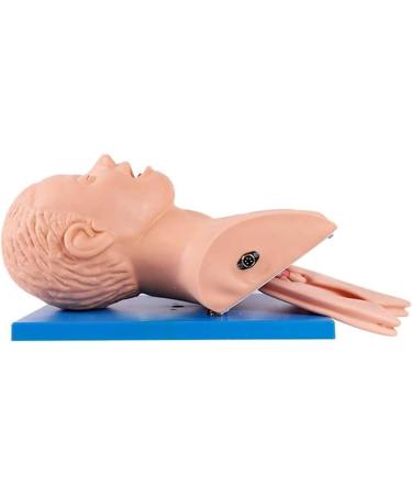 Buy Adult Electronic Tracheal Intubation Manikin | Best Training Simulator for Airway Management | International Shipping Available - Buy Online on GoSupps.com