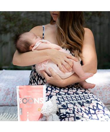 Booby Boons Chocolate Chip Lactation Cookies - Breastfeeding Support Supplement | 6 oz Bag, Fenugreek-Free, Gluten-Free, Soy-Free, Non-GMO | Award-Winning Formula - Buy Online on GoSupps.com
